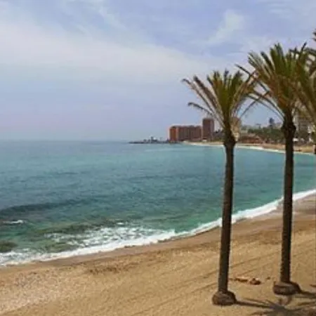 The Paradise Apartment *